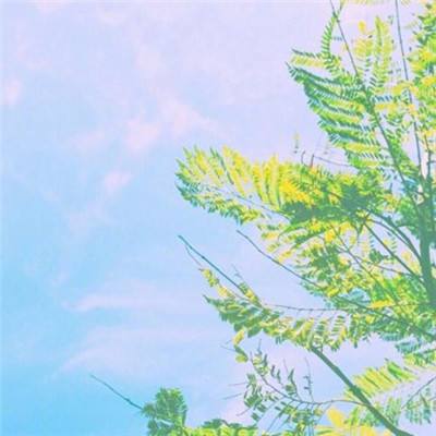 AG官方登陆入口