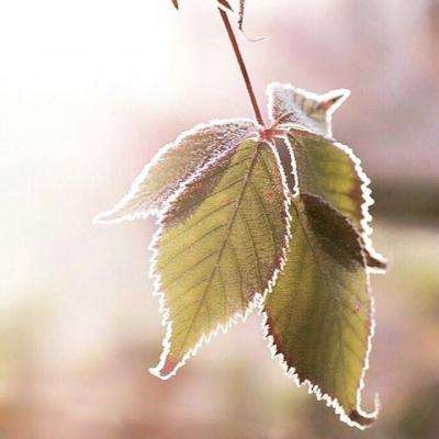 华体会登录app下载